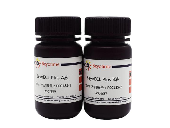 BeyoECL Plus (超敏ECL化学发光试剂盒) 化学试剂详解
